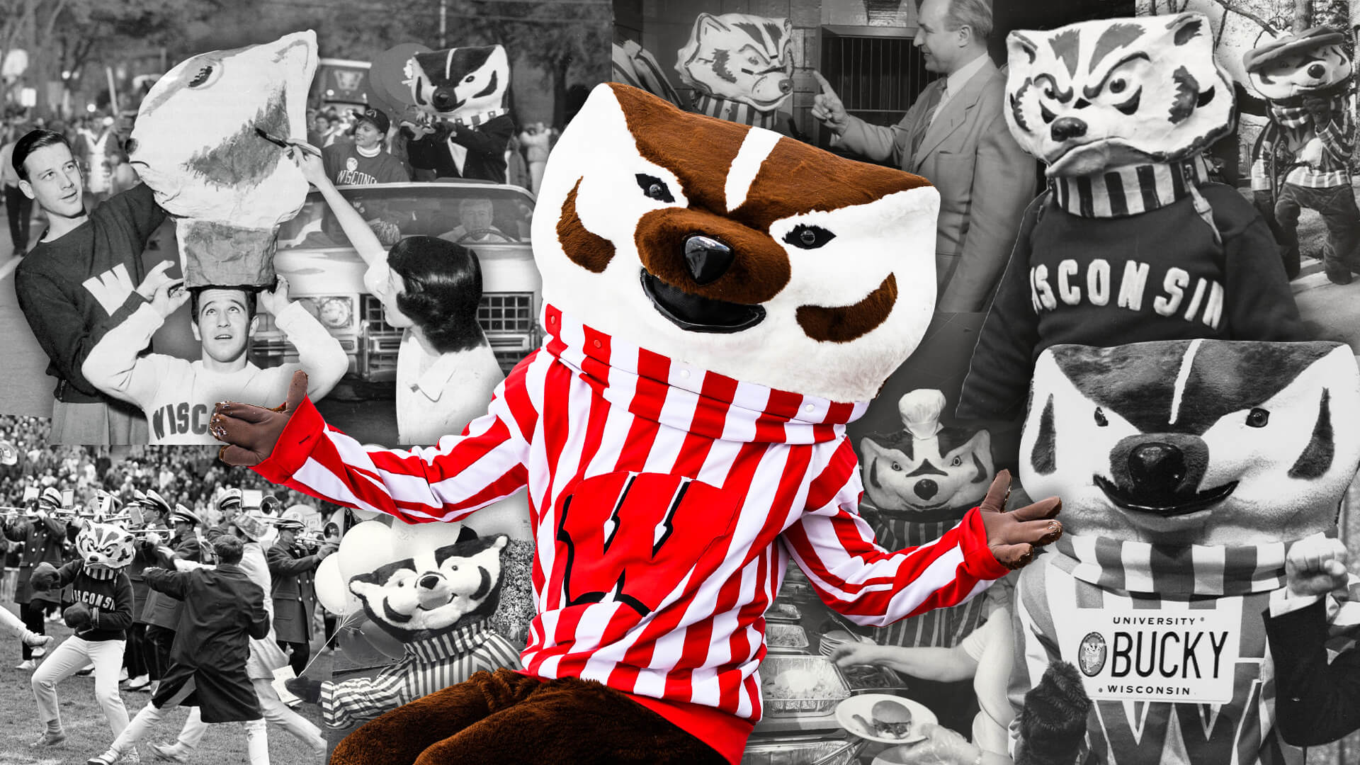 Bucky in the foreground of a collage of other images of Buckys throughout the years