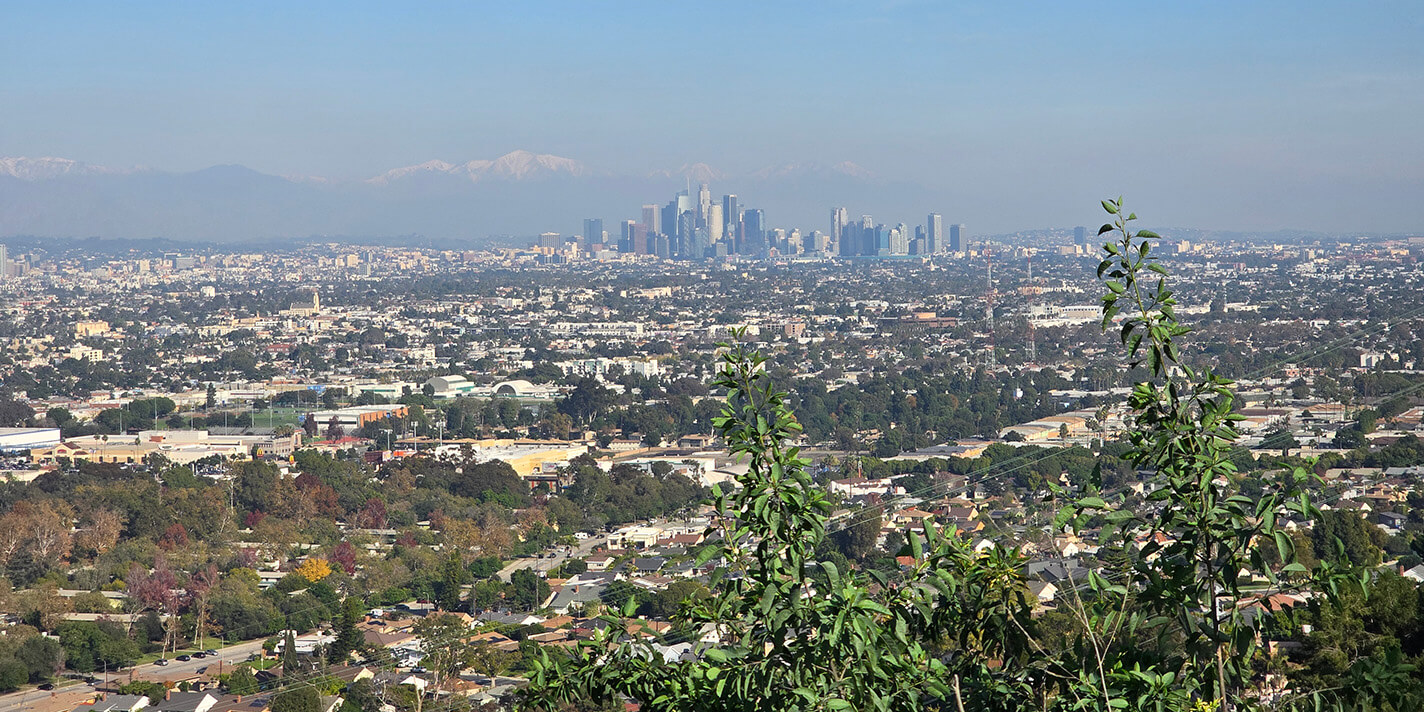 View from the top of the Kenneth Hahn State Recreation Area