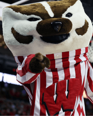 Bucky Badger
