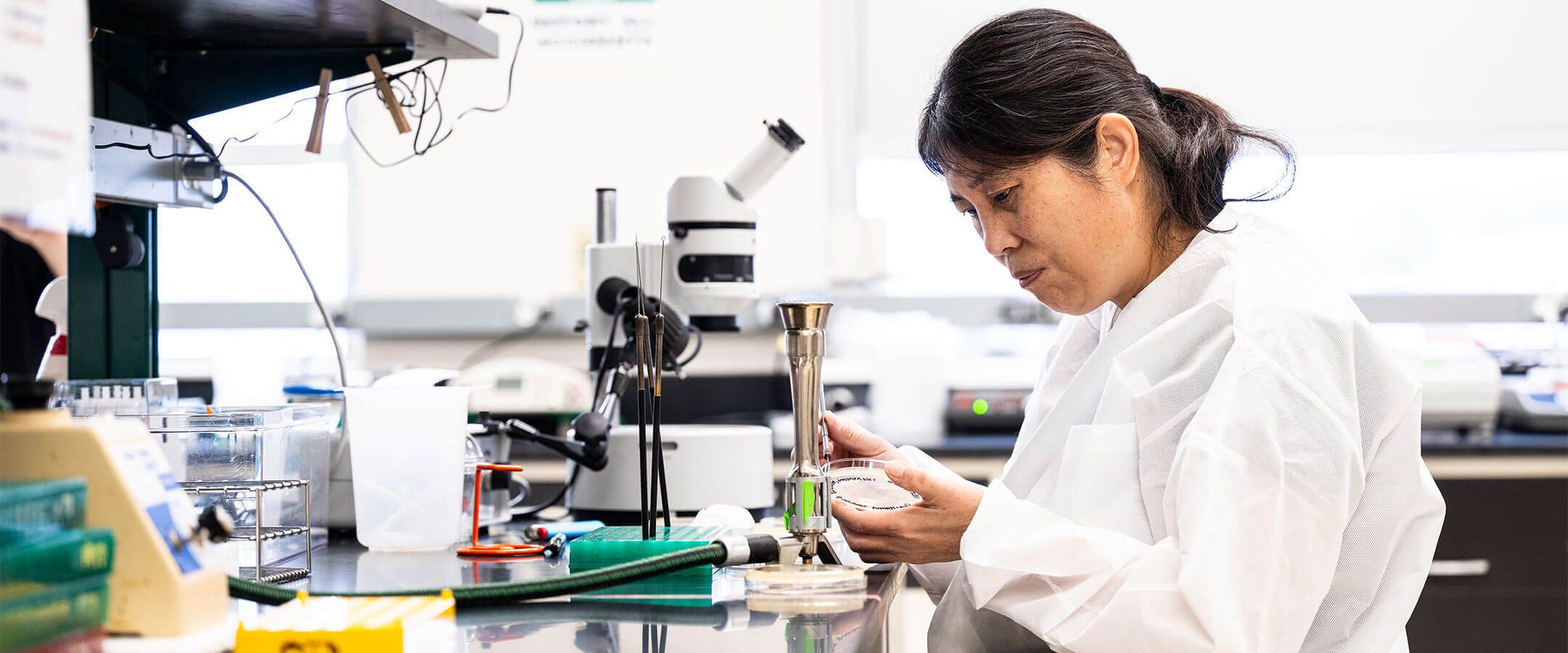Researcher doing lab work