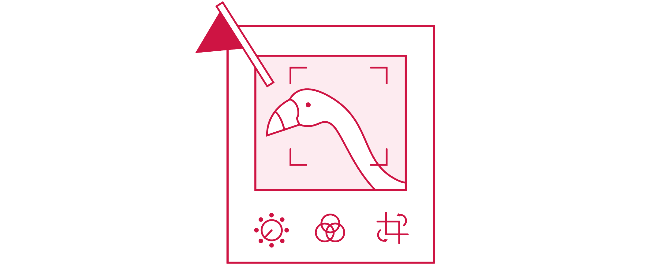 An illustration features a flamingo's profile photo in a photo-editing platform with crop lines indicating omission of its beak. There is a small red flag in the top left corner of the image, indicating that this behavior is disconcerting.